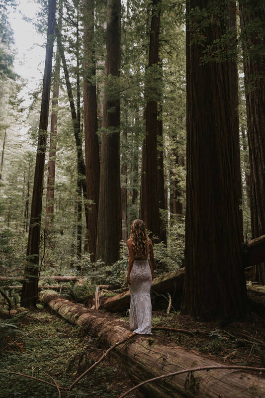 bridal photos in the redwoods
