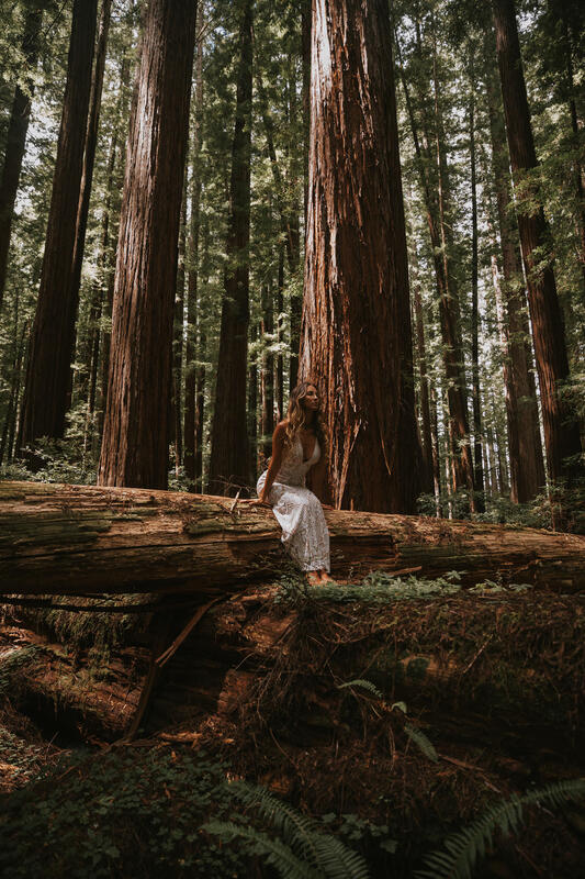 forest elopement packages in california