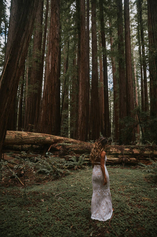 california redwoods elopement